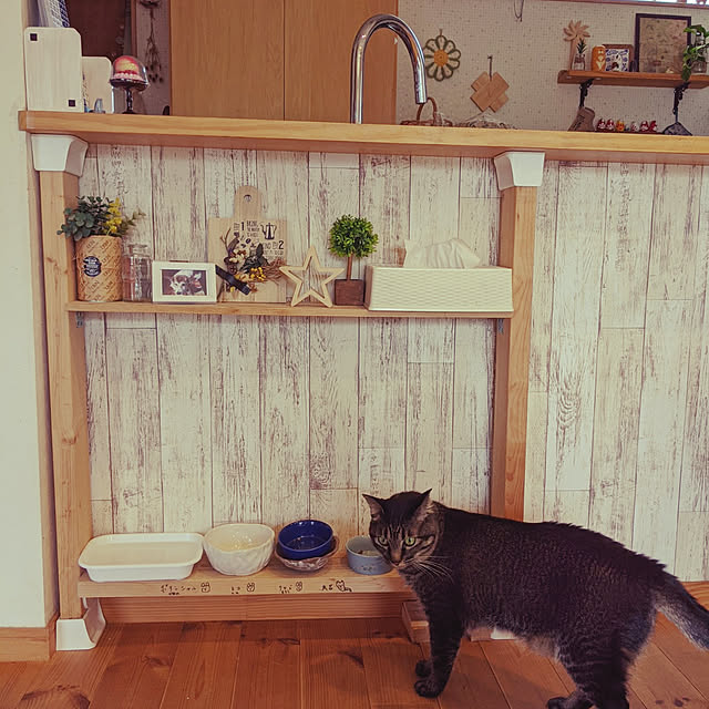 jacky-m-さんの実例写真