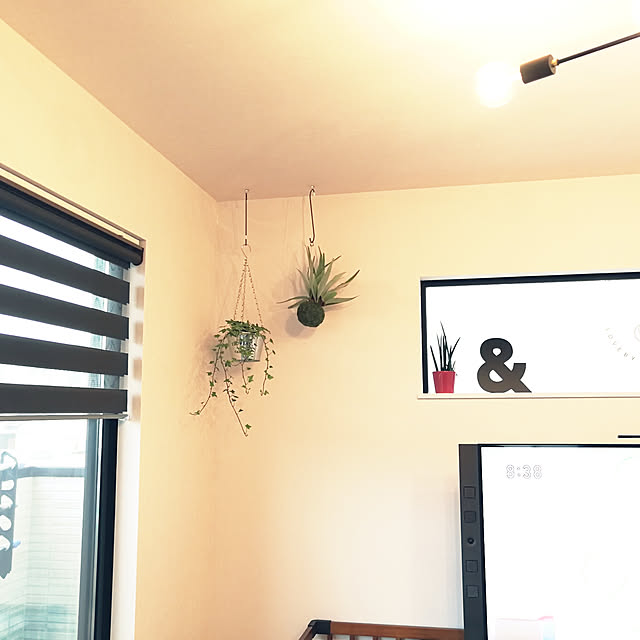 korさんの実例写真