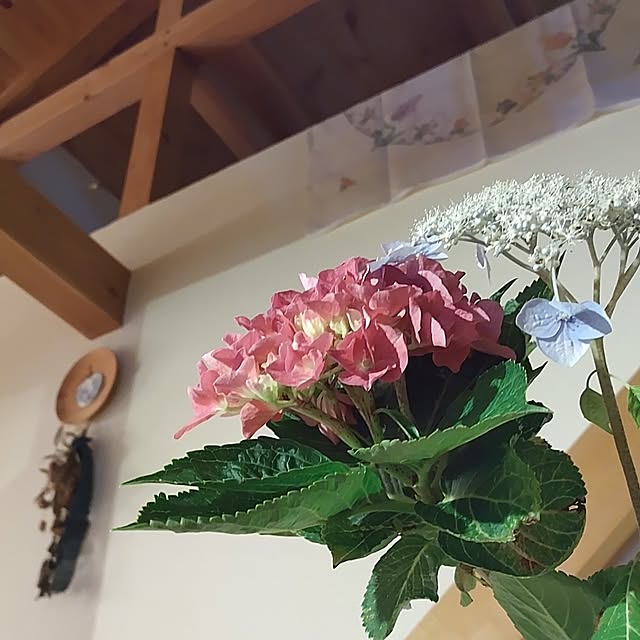 t.yumiさんの実例写真