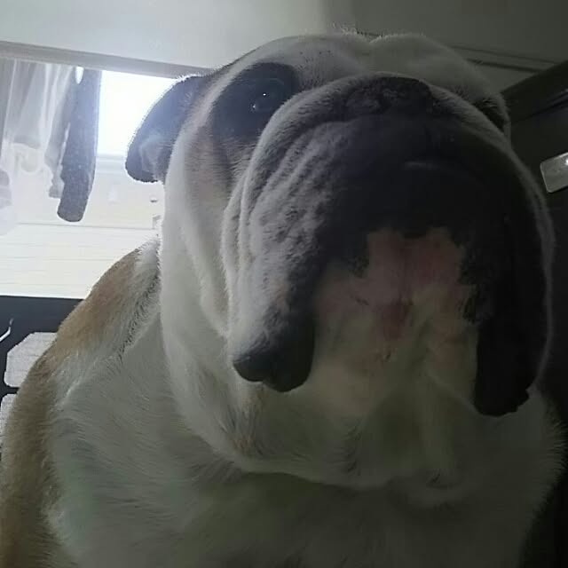 AandPさんの実例写真