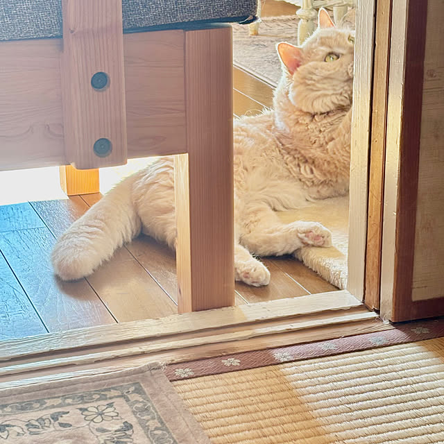naokoさんの実例写真