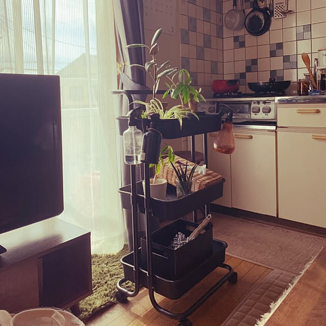 msk428815さんの実例写真