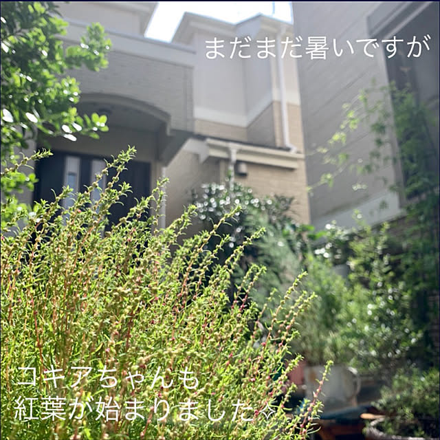 mo-nosukeさんの実例写真