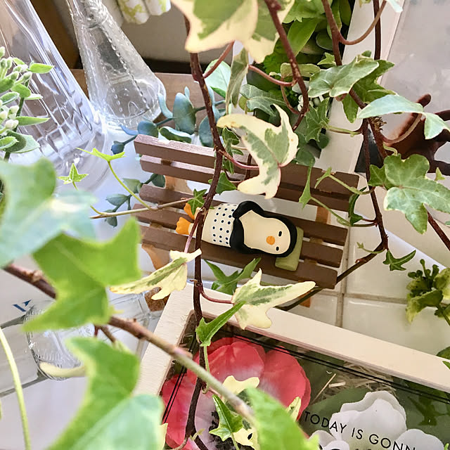 y---iさんの実例写真