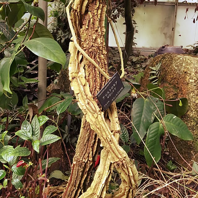 yumaさんの実例写真