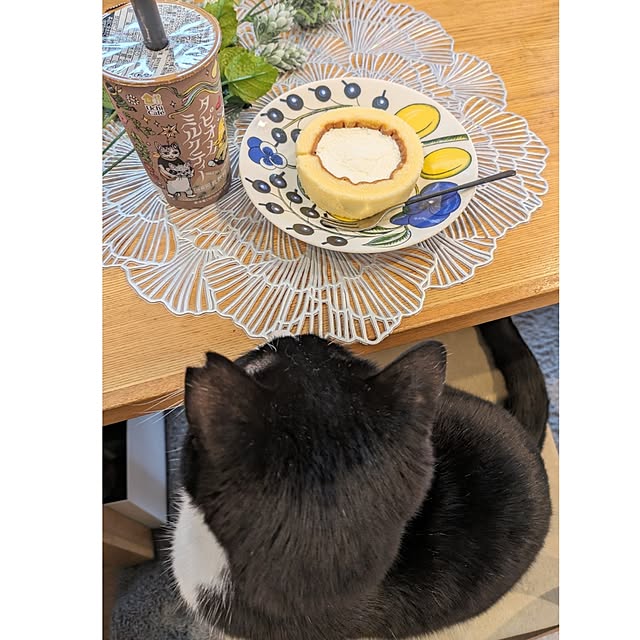 hihaさんの部屋