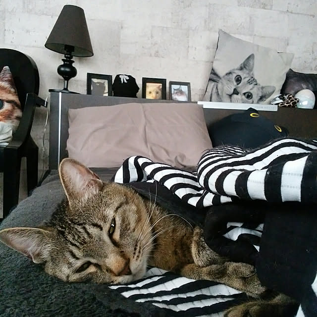 nenekoさんの実例写真