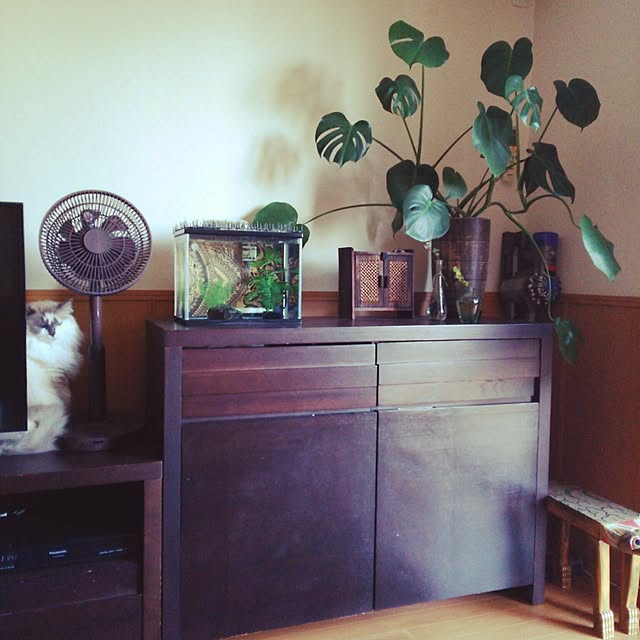 mizu.さんの実例写真