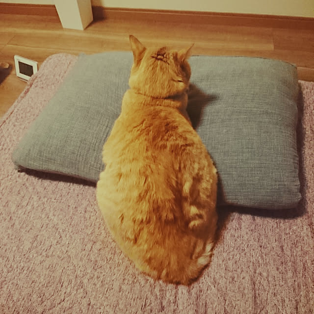 keiさんの実例写真