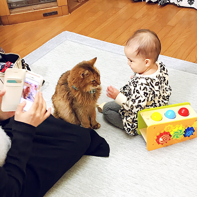 yukarinさんの実例写真