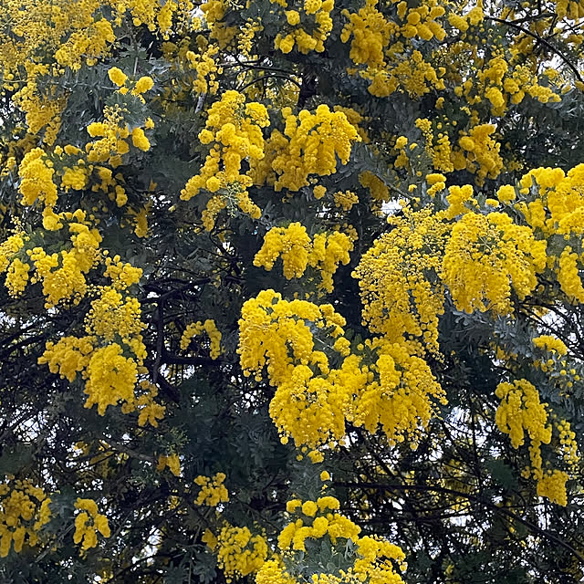 Andaluciaさんの部屋