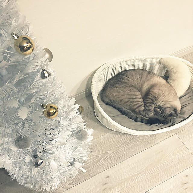 mieさんの実例写真