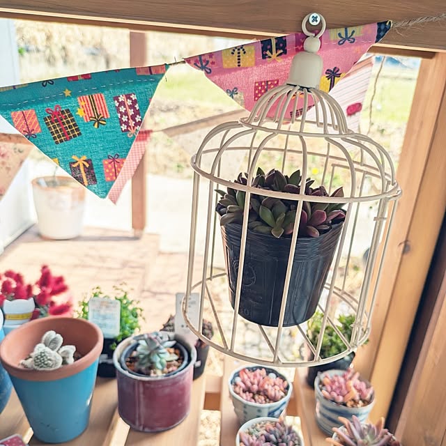 prepreさんの実例写真