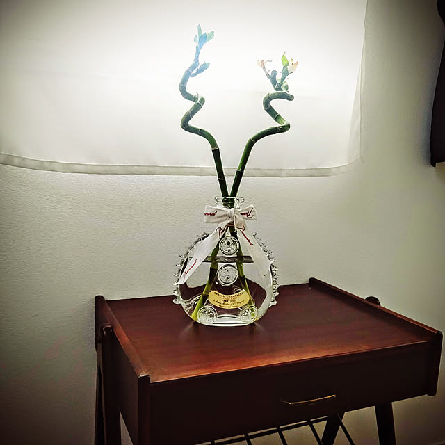 WRAITHさんの実例写真