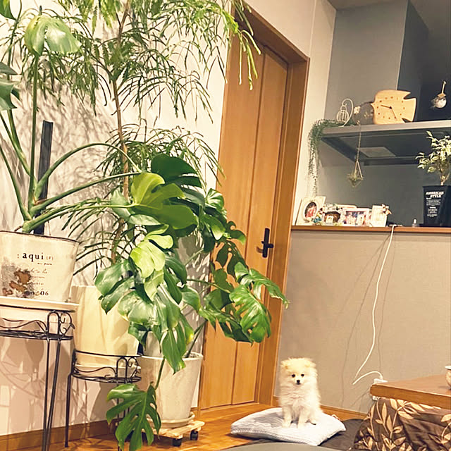 1546さんの実例写真