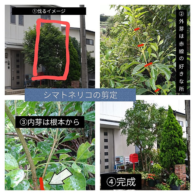 kohmarlさんの実例写真