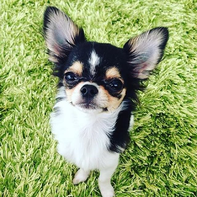 Akiraさんの実例写真