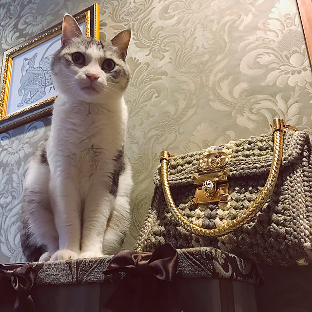 emmyyさんの実例写真