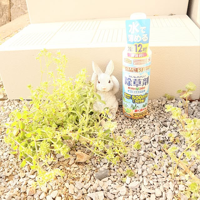 S.homeさんの実例写真