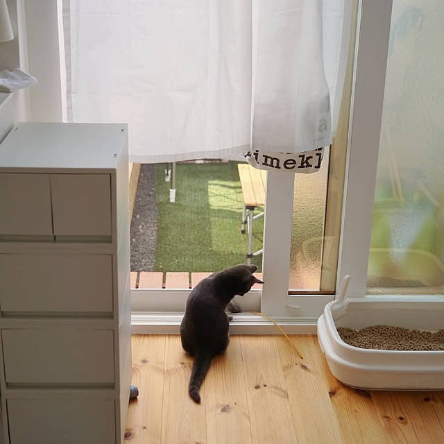shima_shimaさんの実例写真