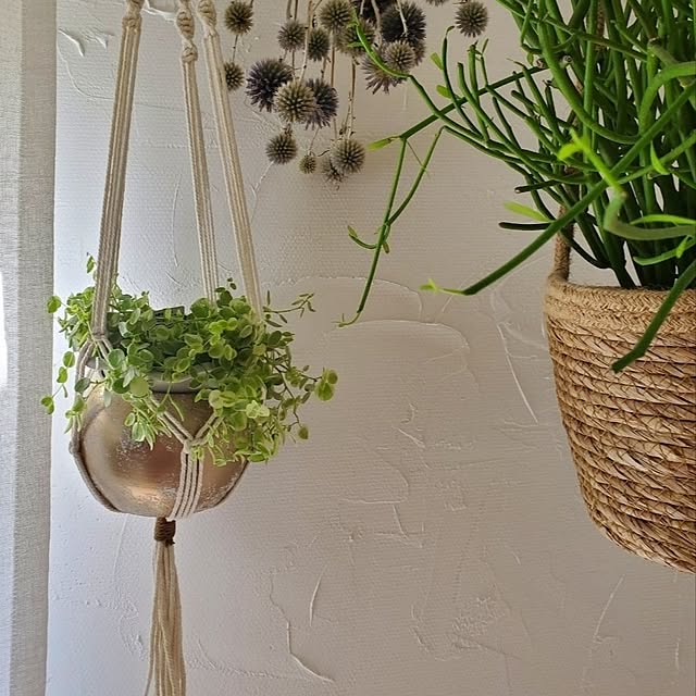 MARIE.color.interiorさんの部屋