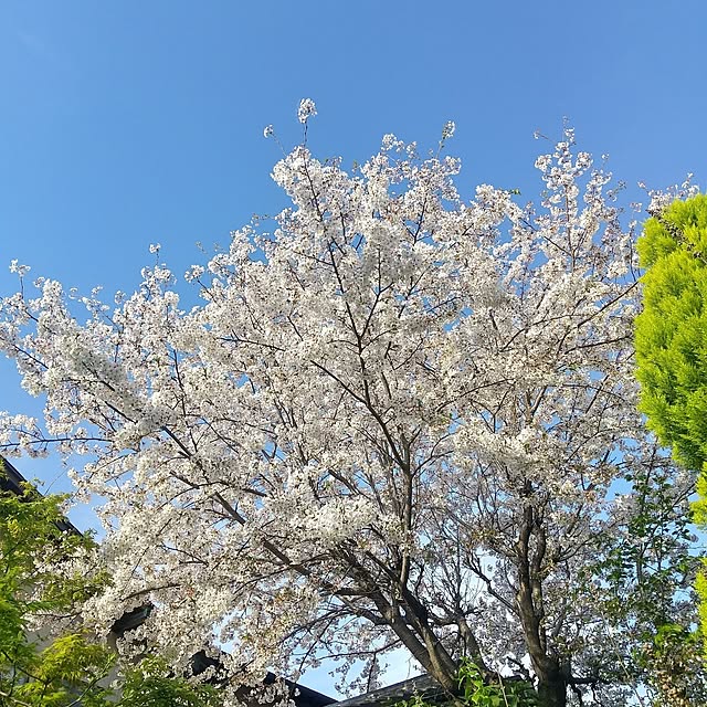 Rさんの部屋