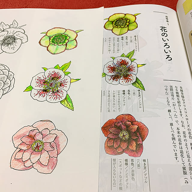 eshinobumさんの実例写真