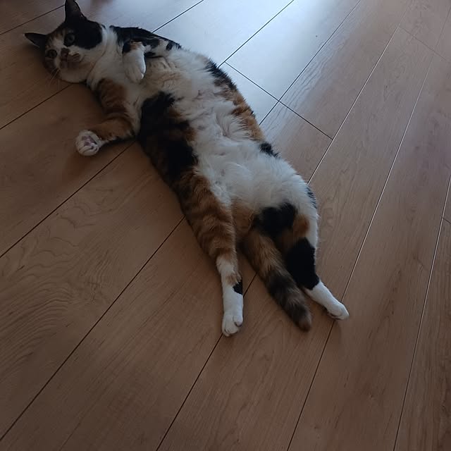 aiさんの部屋