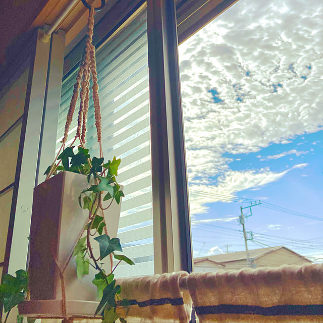Rieさんの実例写真
