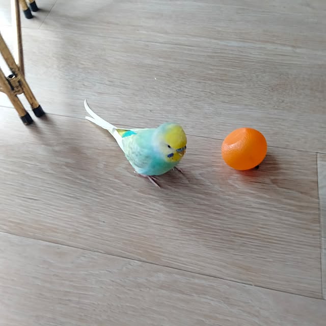 reko639さんの部屋