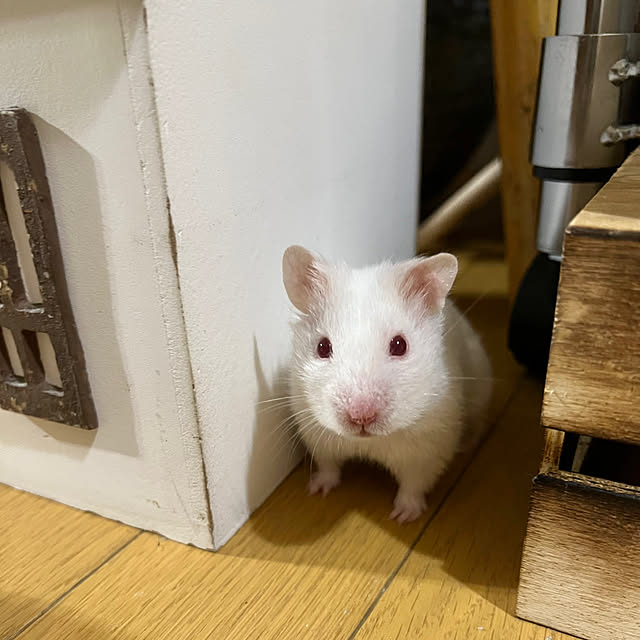 emiさんの部屋
