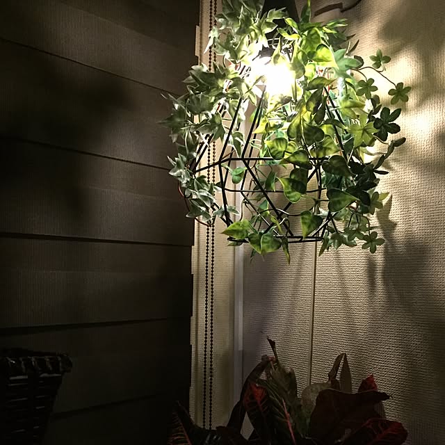 shinさんの実例写真