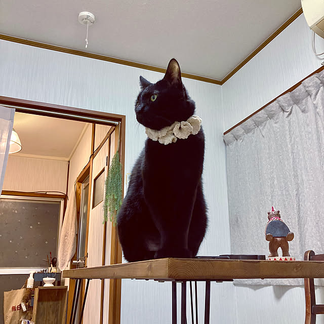 karuさんの実例写真