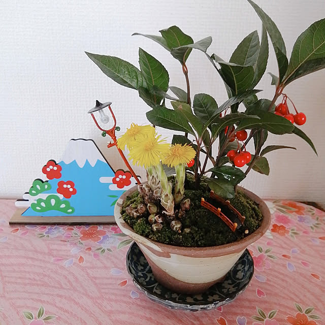 yokkoさんの実例写真