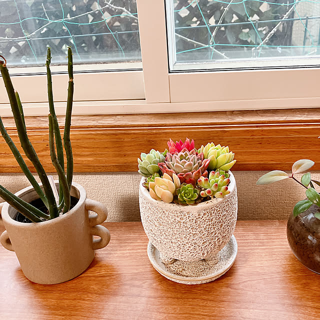 Tupemamaさんの部屋