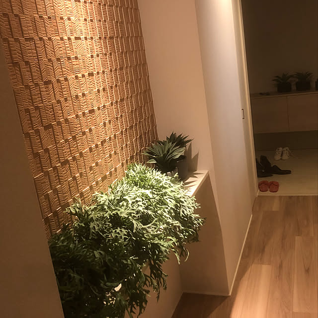 実例写真