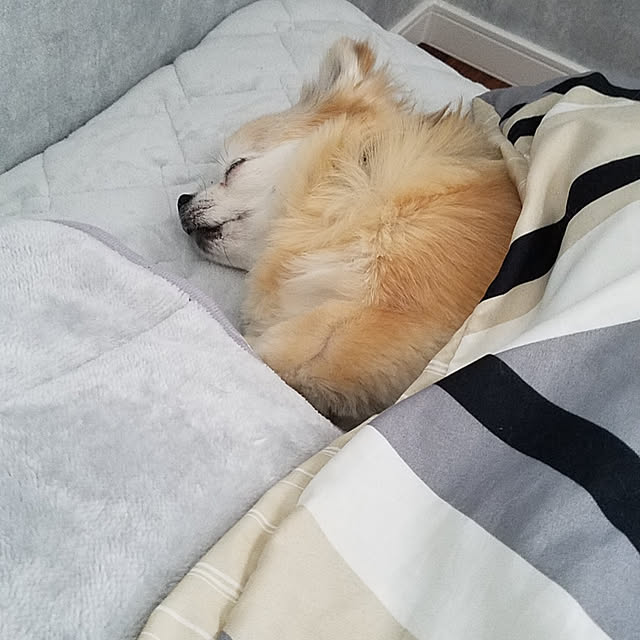 reirさんの実例写真