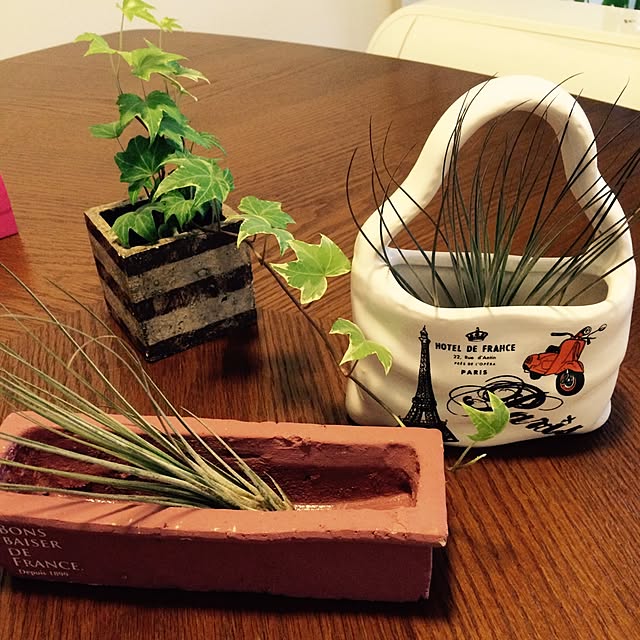机/植物のインテリア実例 - 2015-06-17 19:31:03