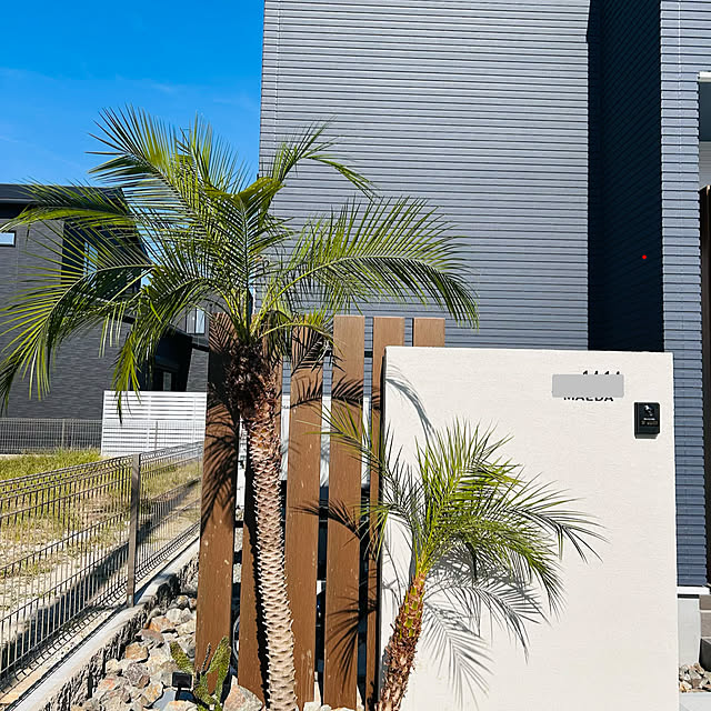 mahoさんの実例写真