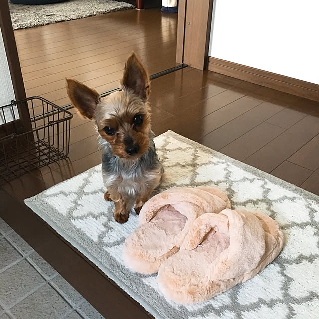 yuminnieさんの実例写真
