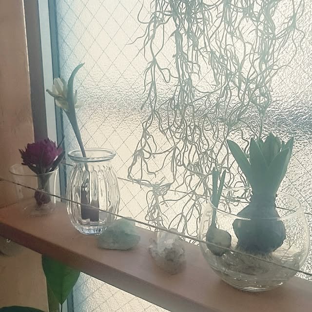 akinaさんの実例写真