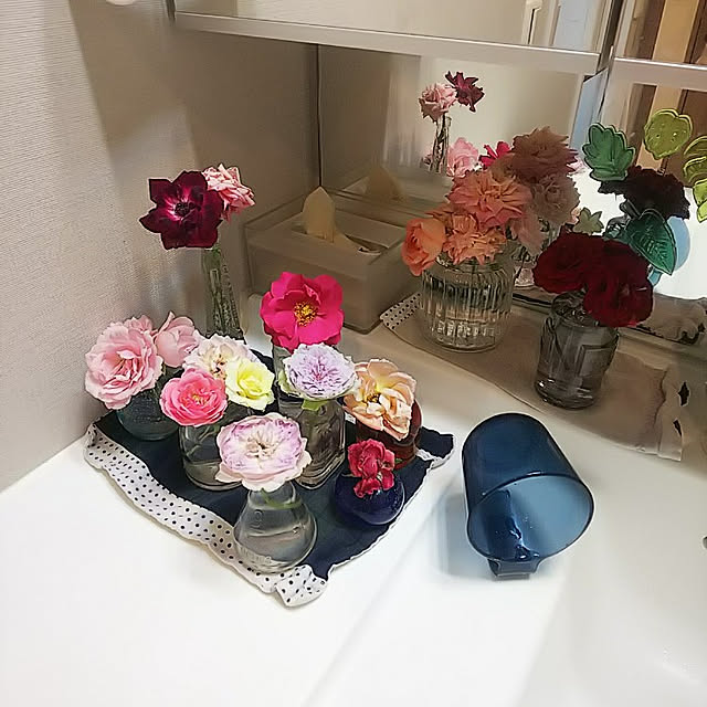 hiromimiさんの実例写真