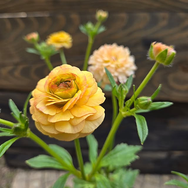 min_nimさんの部屋