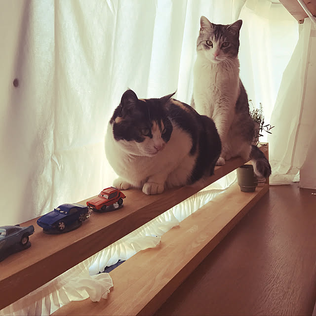 部屋全体のインテリア実例 - 2018-02-27 11:26:19