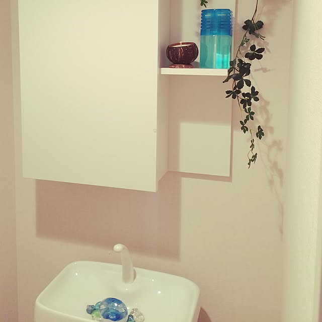 momoさんの実例写真