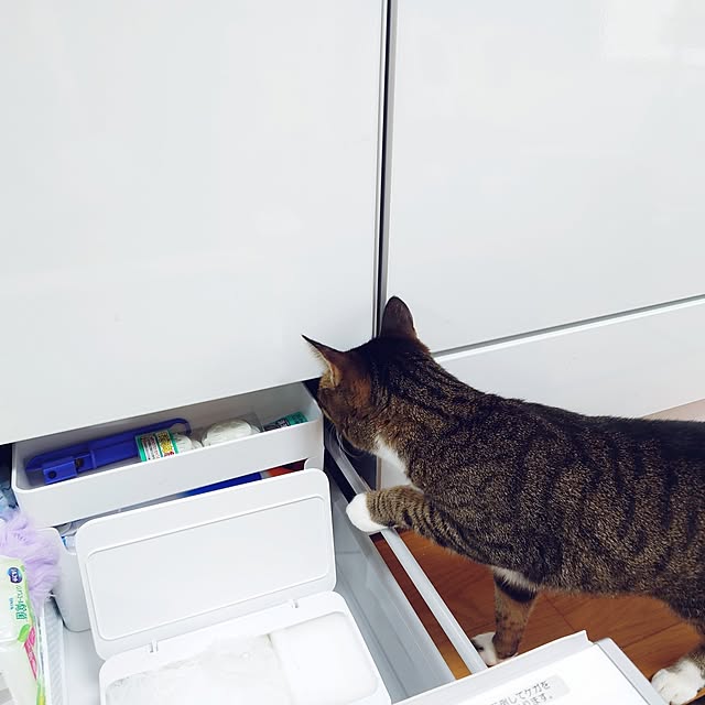 nachiさんの部屋