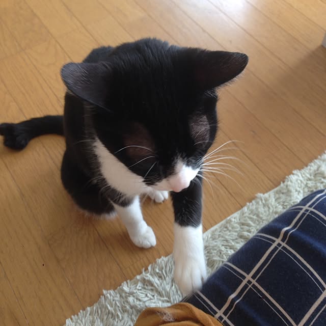 Kinanさんの実例写真