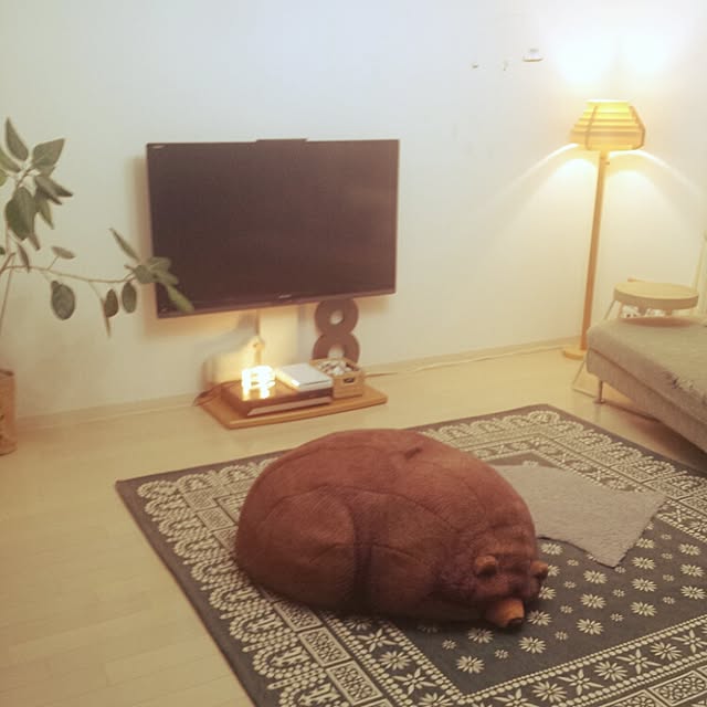 haruhinaさんの実例写真