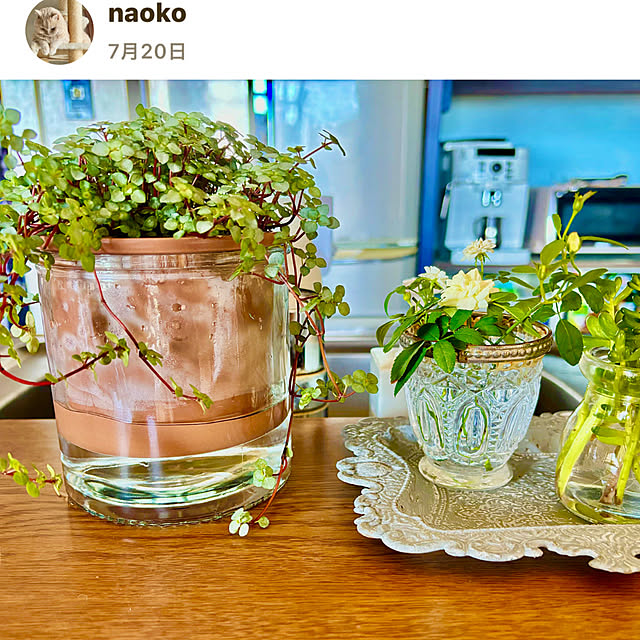 naokoさんの実例写真
