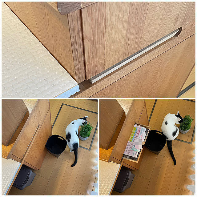 nobikoさんの実例写真
